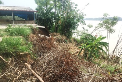 Sạt lở bờ hữu sông Đà: Hàng chục hộ dân sống trong âu lo