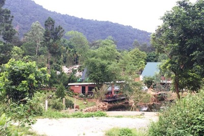 Sóc Sơn đã cưỡng chế 5/20 công trình vi phạm đất rừng tại xã Minh Phú