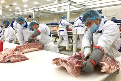 Làm gì để bình ổn thị trường thịt lợn?