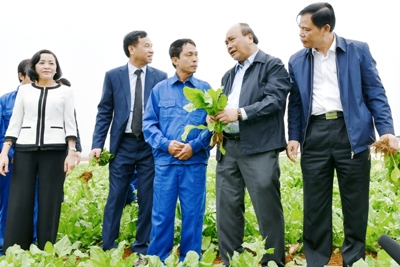 Thủ tướng Nguyễn Xuân Phúc: An ninh lương thực không chỉ là đủ ăn