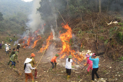10 tháng, diện tích rừng bị cháy cả nước lên tới gần 2.000ha