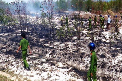 Nguyên nhân cháy gần 11ha rừng ở Quảng Trị