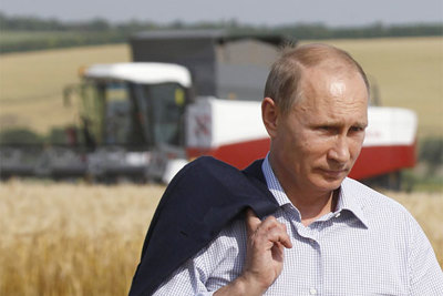 Nông nghiệp Nga ra sao sau 5 năm cấm vận thực phẩm Mỹ, EU?