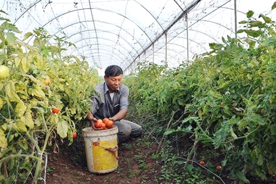 Đưa nông sản Việt vào chuỗi cung ứng giá trị