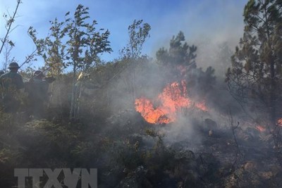 Lâm Đồng: Cháy lớn khiến tuyến đường đèo Prenn tạm bị phong tỏa