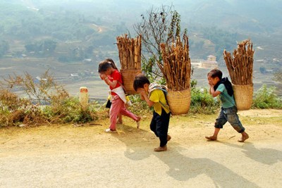 Chương trình hành động Quốc gia "Không còn nạn đói" ở Việt Nam