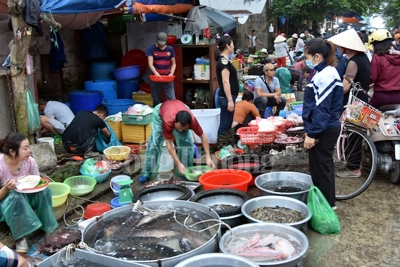 Hà Nội: 65% chợ tại các quận hoạt động không phép