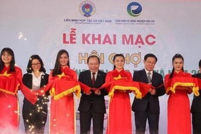 Khai mạc Hội chợ Xúc tiến thương mại hợp tác xã năm 2019