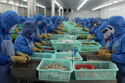EVFTA sẽ tạo sự đột phá cho xuất khẩu tôm Việt Nam