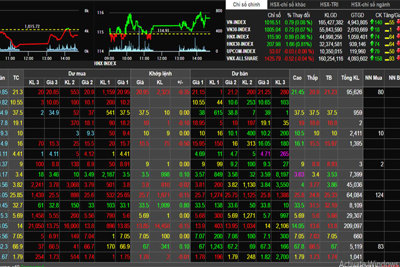 Phiên 15/6: Nhiều cổ phiếu giảm điểm và nằm sàn, VN-Index thoát sắc đỏ phút cuối