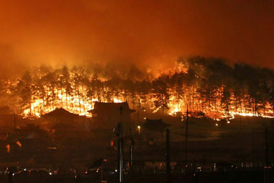 Cháy rừng nguy cơ lan tới Triều Tiên, Hàn Quốc ban bố tình trạng khẩn đầu tiên sau 12 năm