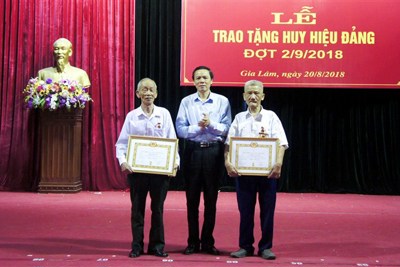 Huyện Gia Lâm trao Huy hiệu Đảng cho 252 đảng viên