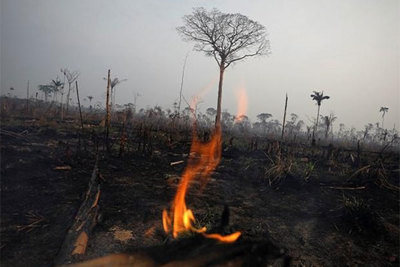 Thương chiến Mỹ - Trung "góp lửa" vào thảm họa cháy rừng Amazon