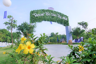 Người tiêu dùng hưởng lợi từ những "resort" bò sữa chuẩn Global G.A.P của Vinamilk