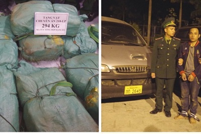 Bắt đối tượng vận chuyển gần 300kg ma túy đá vào Việt Nam