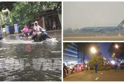 TP Hồ Chí Minh: Mưa lớn gây ngập đường, đổ cây, nhiều chuyến bay không thể hạ cánh