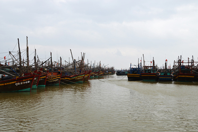 Quảng Bình sẽ có khu neo đậu mới cho trên 1.000 tàu cá