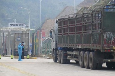 Tất cả cửa khẩu Trung Quốc - Việt Nam ở Quảng Tây khôi phục hoạt động