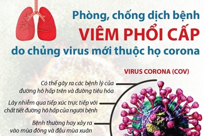 Quảng Ninh ra chỉ thị phòng, chống bệnh viêm phổi do virus corona