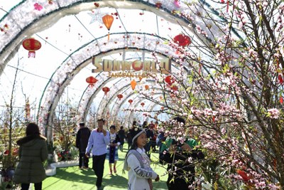 Du khách nô nức trẩy hội xuân Mở Cổng Trời tại Sun World Fansipan Legend