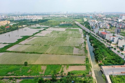 Gia Lâm: Hoàn thành cưỡng chế thu hồi đất tại thị trấn Trâu Quỳ