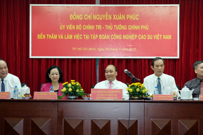 Thủ tướng làm việc với Tập đoàn Công nghiệp Cao su Việt Nam