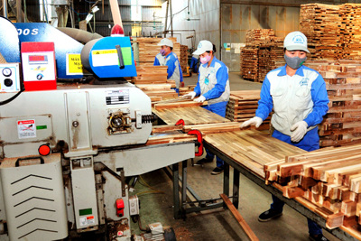 Phát triển bền vững ngành công nghiệp chế biến gỗ phục vụ xuất khẩu