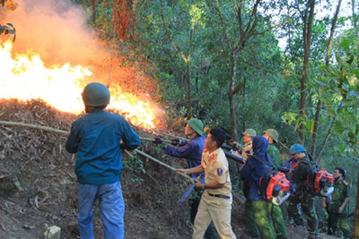 Tạm giữ đối tượng nghi gây ra vụ cháy rừng tại Hà Tĩnh