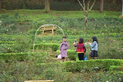 Nô nức check in tại vườn hồng lớn nhất Việt Nam