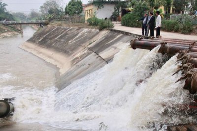 30% diện tích canh tác vụ Xuân 2020 của Hà Nội đã có nước