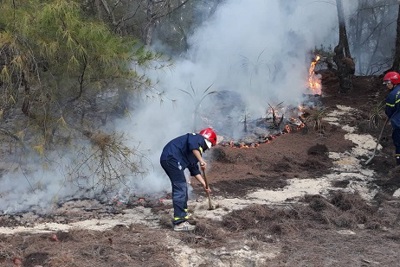 7 tháng, Quảng Ngãi xảy ra 51 vụ cháy rừng