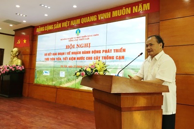 Hà Nội xếp thứ 40/63 tỉnh, thành phố về áp dụng tưới tiết kiệm nước