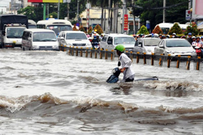 TP Hồ Chí Minh: Cảnh báo triều cường đạt đỉnh 1,6 m trong ngày 27-28/11