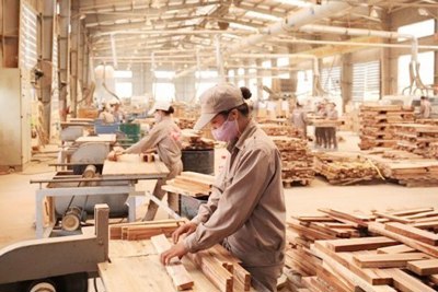 Có tín hiệu gian lận thương mại trong ngành gỗ tại Việt Nam