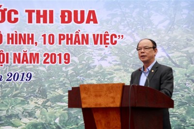 Hội Nông dân huyện Gia Lâm phát động thi đua “3 nhóm mô hình, 10 phần việc”