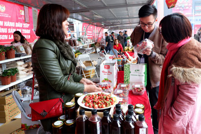 Tuần hàng dâu tây Sơn La lần đầu tiên được tổ chức tại Hà Nội
