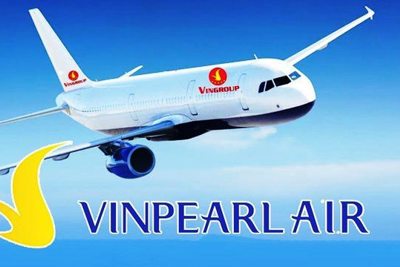 Xem xét về việc dừng phê duyệt chủ trương đầu tư Dự án Vinpearl Air