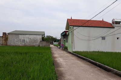 Huyện Quốc Oai: Dân làm đơn thỉnh cầu vì xây nhà trên đất nông nghiệp