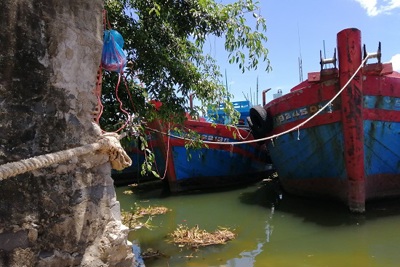 Quảng Ngãi: "Bóng đen" nợ nần bao phủ làng biển