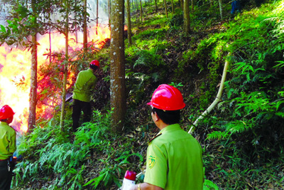 Duy trì ứng trực phòng chống cháy rừng 24/24 giờ