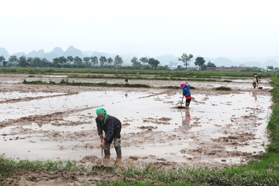 Hà Nội: Tỷ lệ lấy nước gieo cấy vụ Xuân của nhiều địa phương đạt thấp