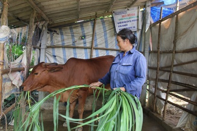 Nông nghiệp Hà Nội duy trì đà tăng trưởng