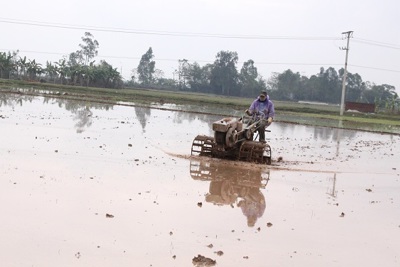 Rốt ráo hoàn thành lấy nước vụ Xuân