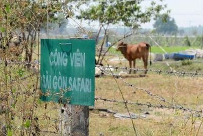 TP Hồ Chí Minh: Phê bình 3 lãnh đạo chậm thực hiện kết luận thanh tra dự án Sài Gòn Safari
