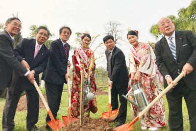Nhật Bản trao tặng 172 cây hoa anh đào cho Hà Nội