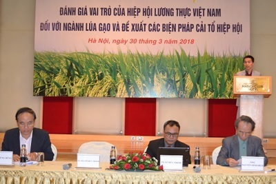 Sớm cải tổ Hiệp hội Lương thực Việt Nam