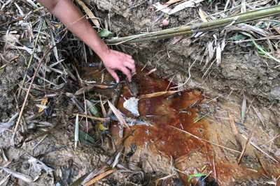 Vụ nước sạch sông Đà nhiễm dầu: Suối Trầm giờ đã hết dầu?