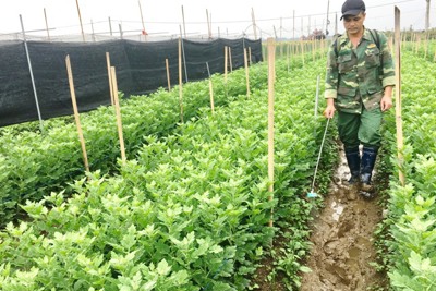 Viện trưởng Viện Môi trường nông nghiệp: Chưa thể loại bỏ thuốc diệt cỏ độc hại