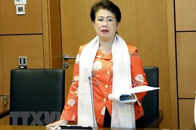 Quốc hội sẽ xem xét đơn xin thôi đại biểu của bà Phan Thị Mỹ Thanh