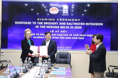 UNDP hỗ trợ Đồng bằng sông Cửu Long 185.000 USD ứng phó hạn mặn